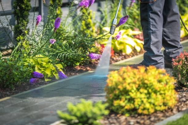 Best Parking Lot and Garage Cleaning  in Home Garden, CA